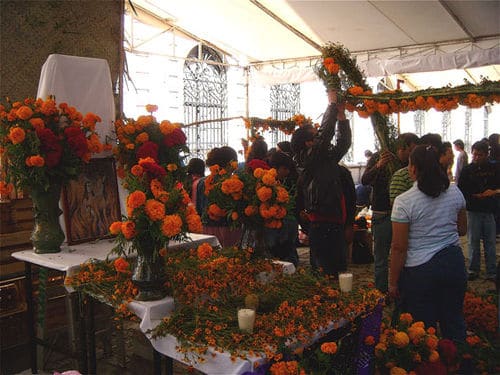 Ofrenda-7