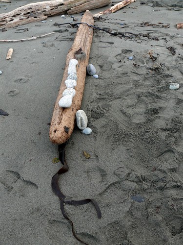 Log-other