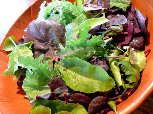 Salad-bowl