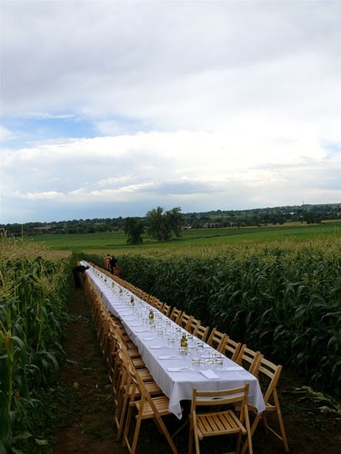 Long-table