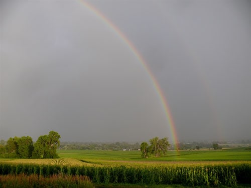 Rainbow-field