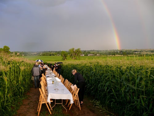 Table-rainbow