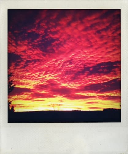 Sunrise polaroid