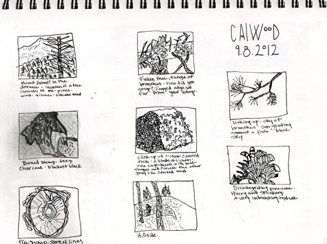 Thumbnails